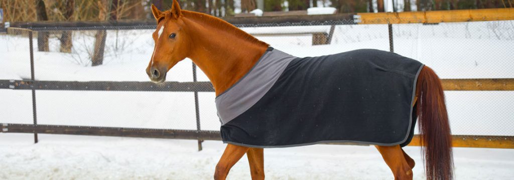Choisir le bon grammage de couverture pour chevaux