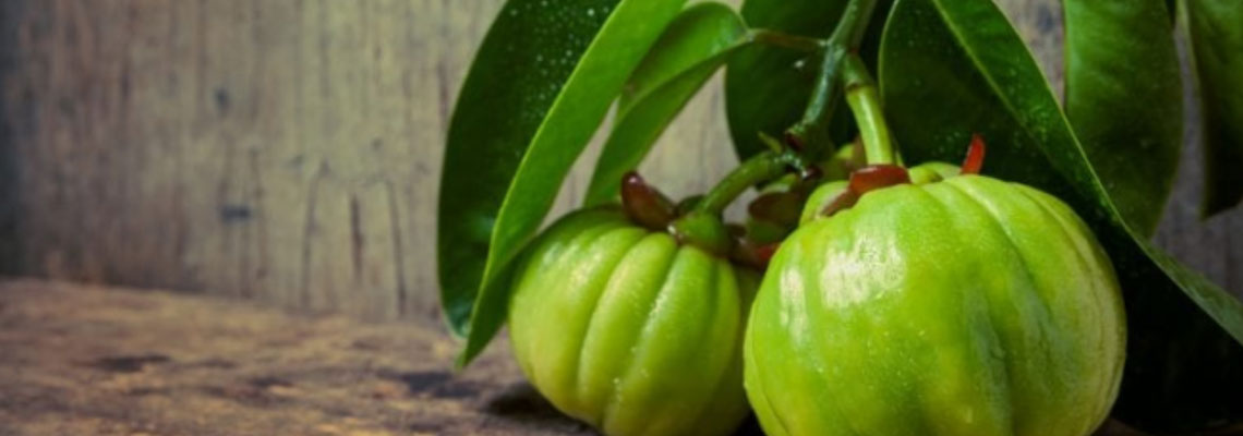 Garcinia Cambogia